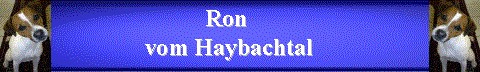 Ron`s Homepage